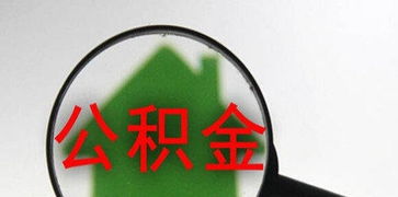 便捷高效 公積金咨詢服務解析