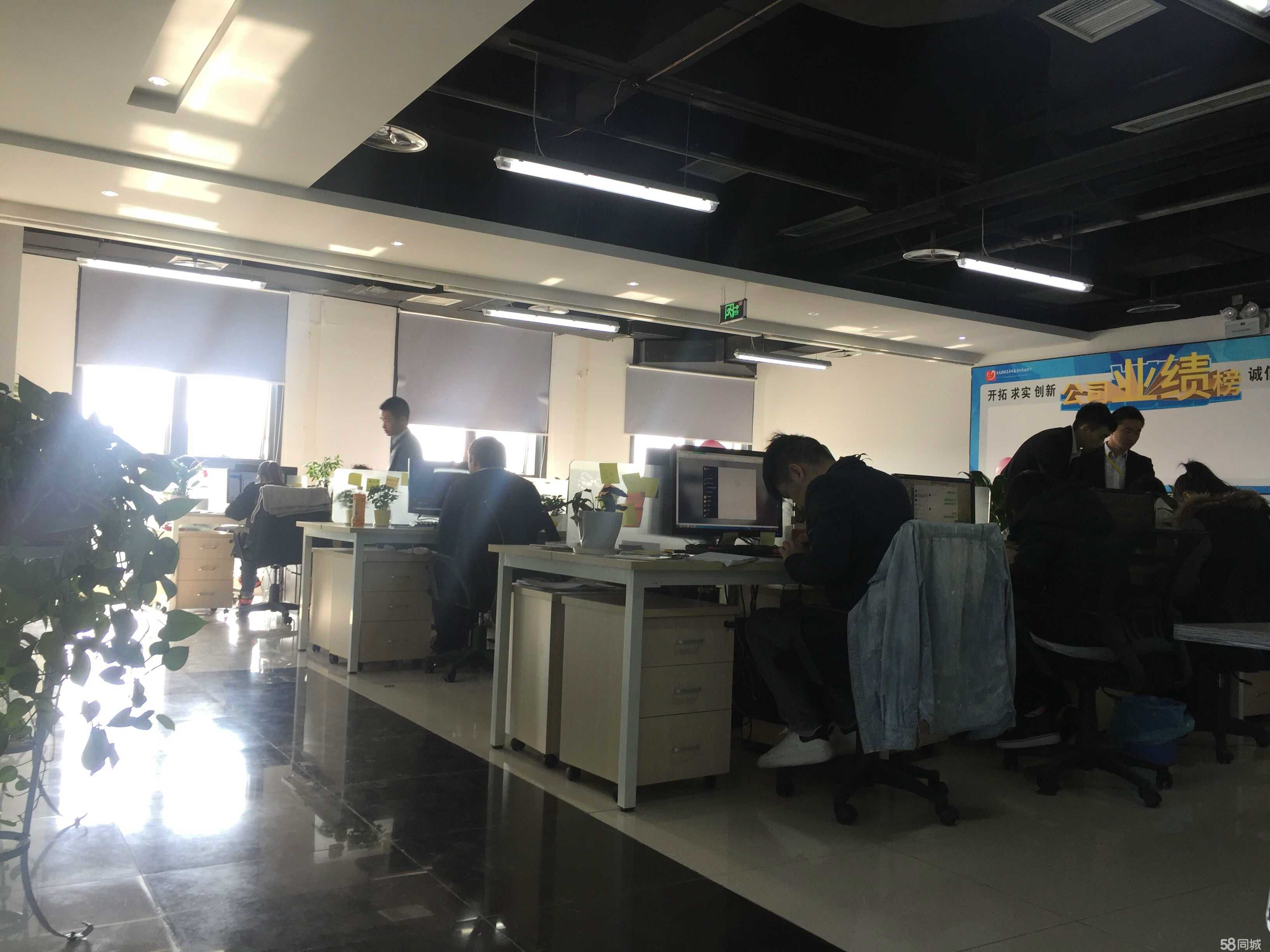 重慶圓圓商務信息咨詢 專業助力企業與個人的發展之路